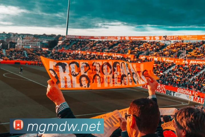 多媒体互动体验